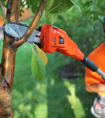 love-your-neighbor-as-yourself-tree-branch-cutting